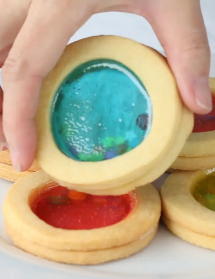 Cookie Aquarium // Aqua Cookie